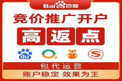 百度竞价代理的客户案例：如何实现ROI最大化